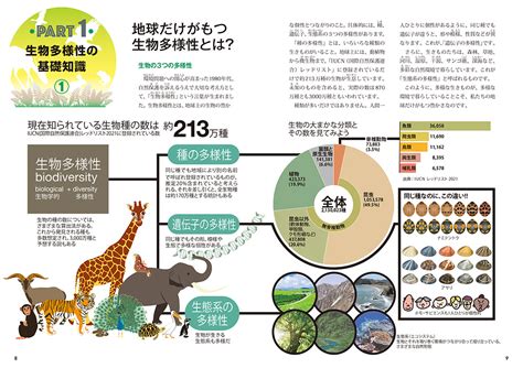 自然形態|自然界の多様な形態および パターン形成